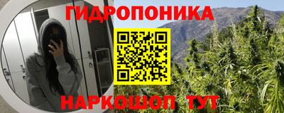 твердый Брянск