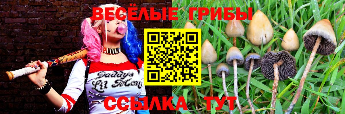 Псилоцибиновые грибы Psilocybine cubensis  как найти закладки  Аша  Вход с VPN  Псилоцибиновые грибы ЛСД 